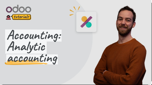 Analytic Accounting  (Contabilidad Analítica)